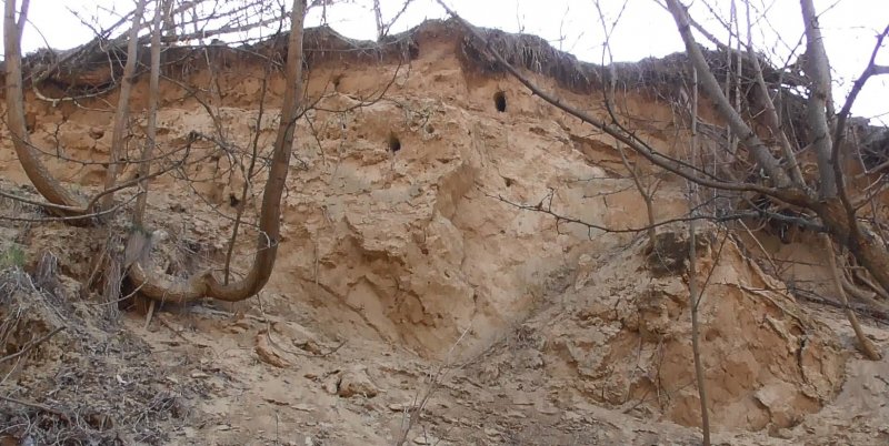 Gyurgyalag költőüregek (Fotó: Krusinszki Ferenc)