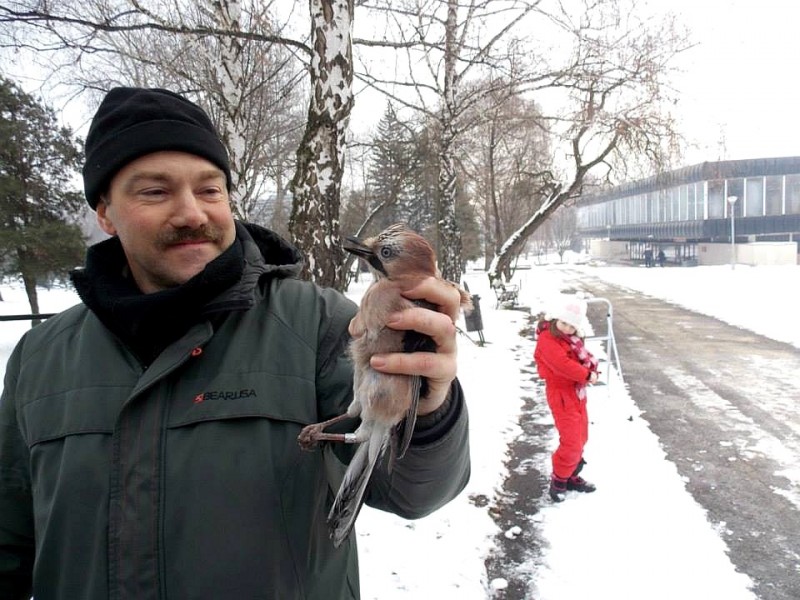 Egyetemvárosi gyűrűzés (Fotó: Sallai István)