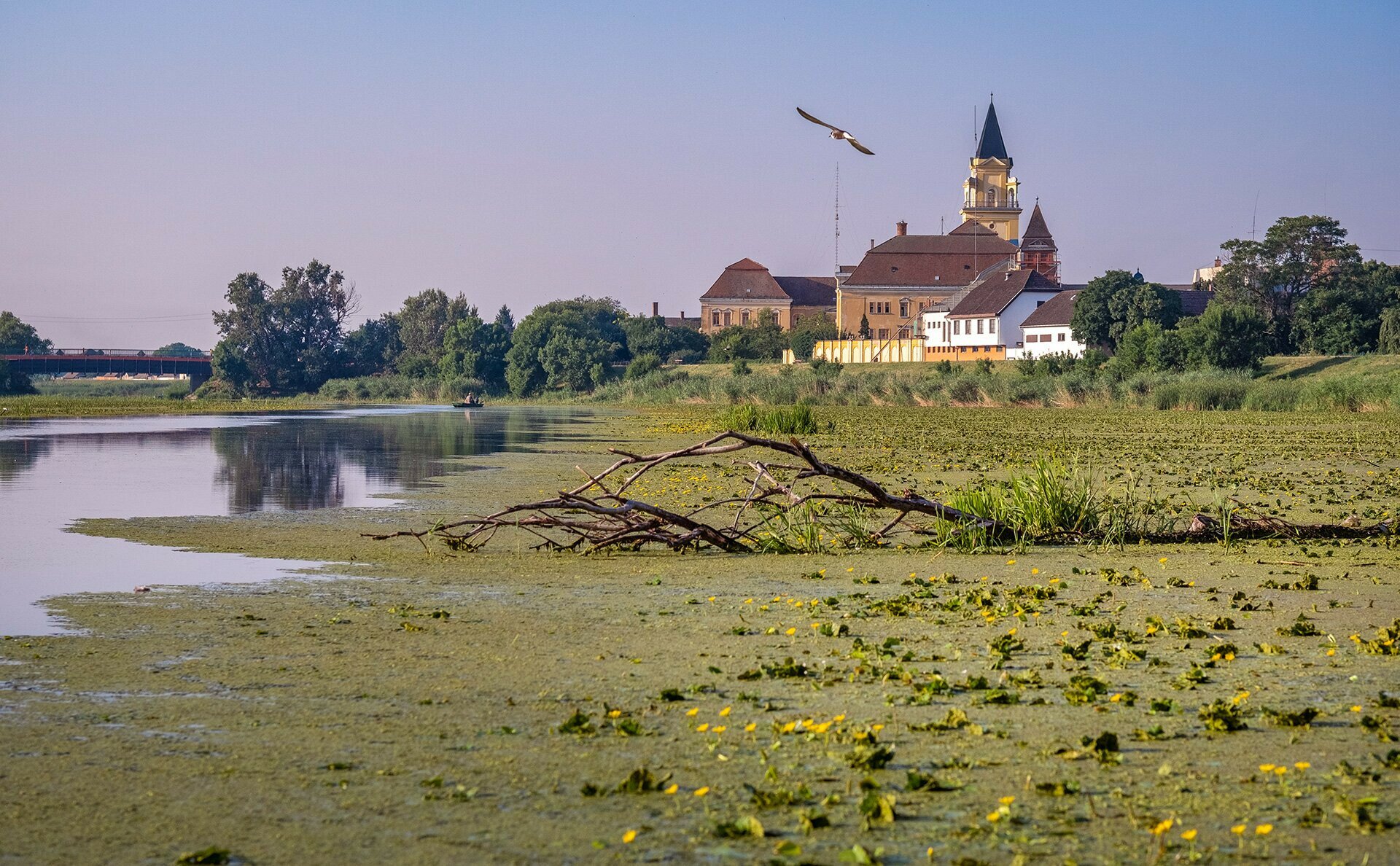 Szerkőtelep Mezőtúr belvárosában