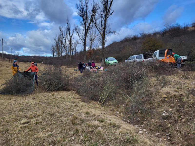 Szépen gyűlt a levágott cserje (Fotó: Lendvai Csaba)