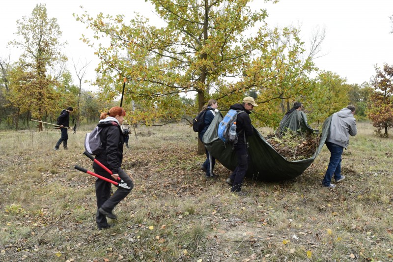 Munkában (Fotó: Bajor Zoltán)