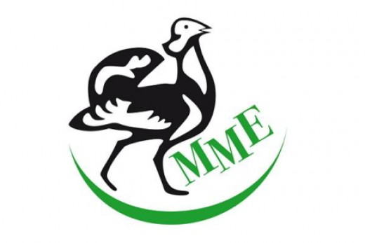 MME logo