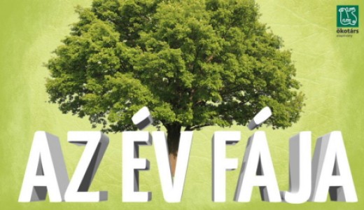 Az év fája logó (forrás: evfaja.okotars.hu)