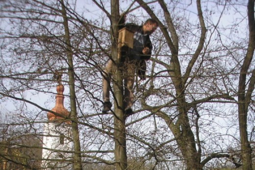 Jósvefői odútakarítás (fotó: Farkas Emese)