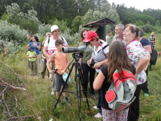 Megfigyelés (Fotó: Kertész László)