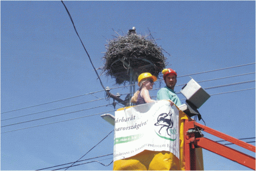 Gólya road show 2013, (Fotó:Tamás Ádám)