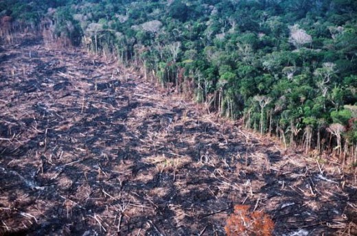 Erdőirtás az Amazonas-medencében