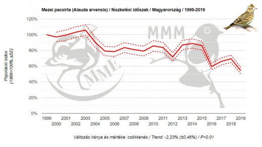 A mezei pacsirta állománya sajnos továbbra is csökken, 1999 óta 36 százalékuk eltűnt hazánkból, s 2019-ben mértük az eddigi legalacsonyabb értéket.