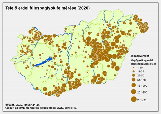 Telelő eredi fülesbaglyok felmérési eredményei a 2020.01.24-27. közötti szikronszámlálás napjai alatt (Forrás: MME Monitoring Központ)