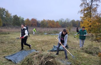 A levágott anyag összeszedése a Homoktövis természetvédelmi területen (Fotó: Lendvai Csaba)