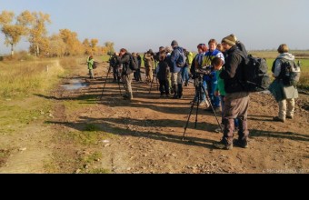 Vadlúd megfigyelés a Zab-szék mellett (Fotó: Mecseki Attila)