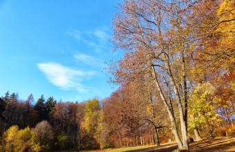 Bük (Fotó: Kerékgyártó Róbert)