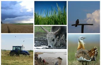 A Natura 2000 játéksorozat célja a gyerekek természetvédelmi ismereteinek bővítése (Fotók: MME archívum).